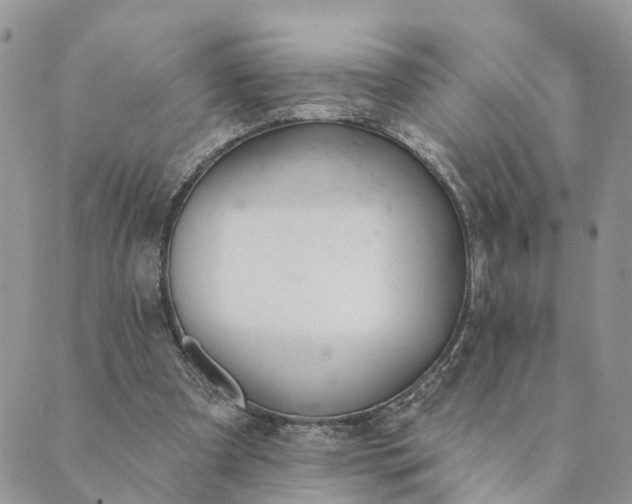 X0000089420297200706291039