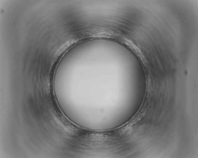 X0000089420298200706291039