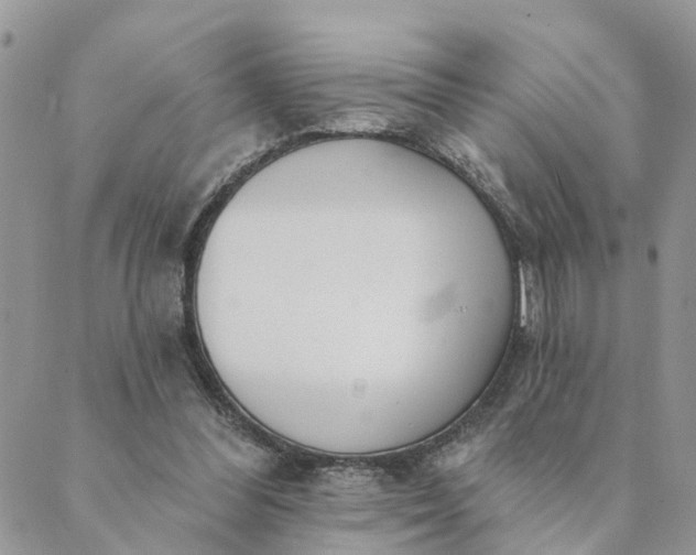 X0000089420300200706291039