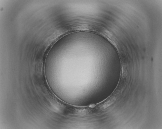 X0000089420301200706291039