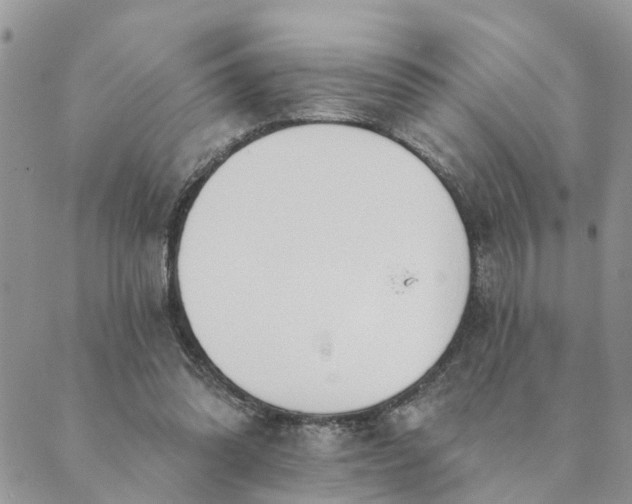 X0000089420302200706291039