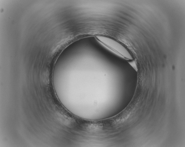 X0000089420303200706291039