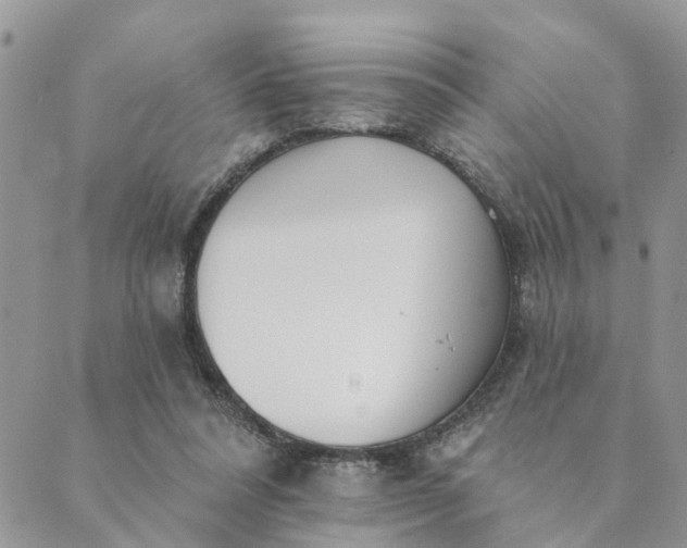 X0000089420304200706291039