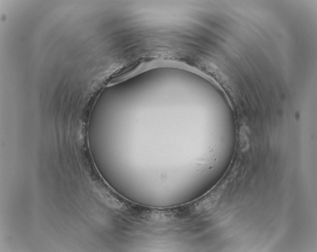 X0000089420305200706291039