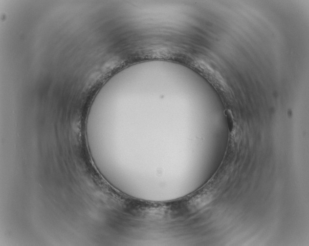 X0000089420306200706291039