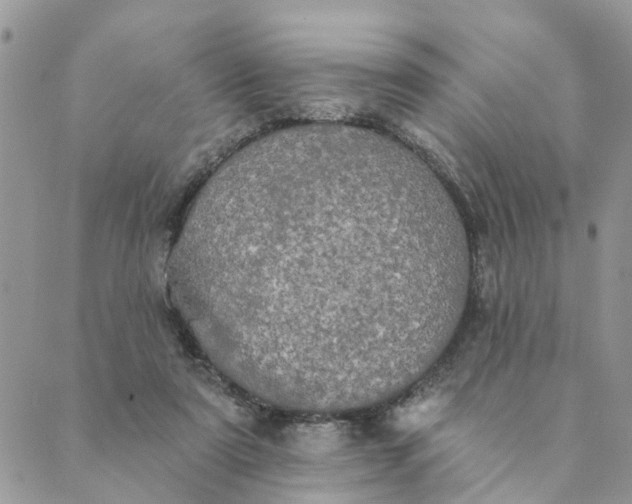 X0000089420307200706291039