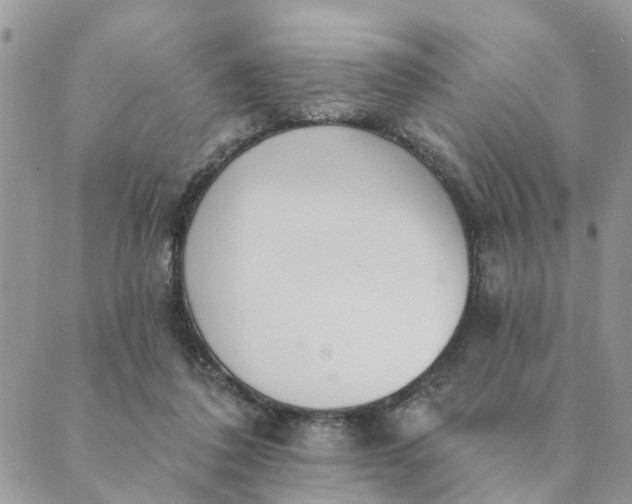 X0000089420308200706291039