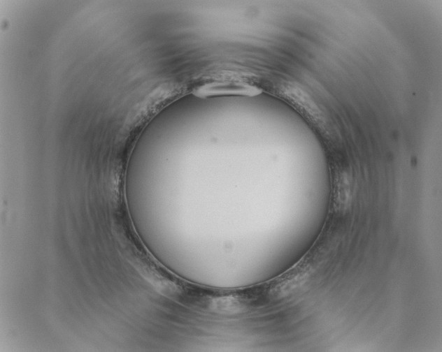 X0000089420309200706291039