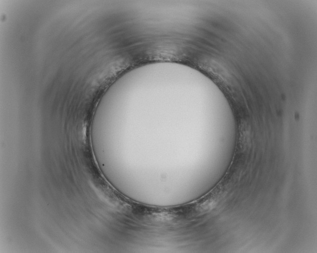 X0000089420310200706291039