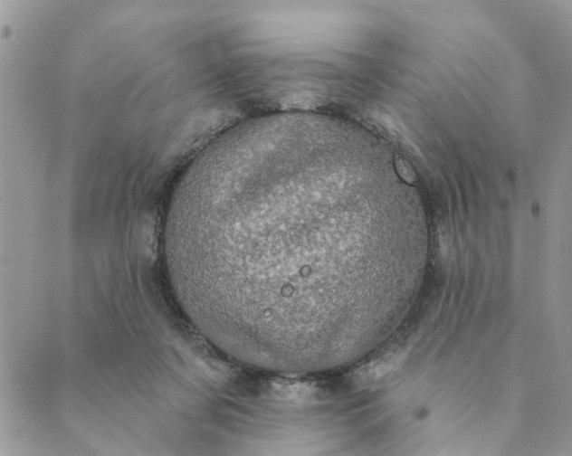 X0000089420311200706291039