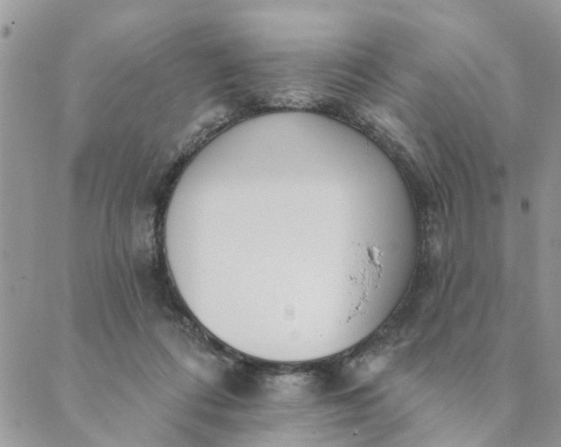 X0000089420312200706291039