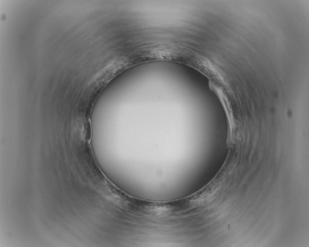 X0000089420313200706291039