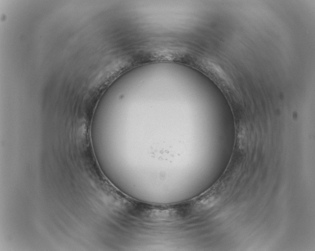 X0000089420314200706291039