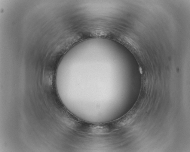 X0000089420315200706291039