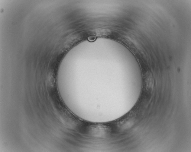 X0000089420316200706291039