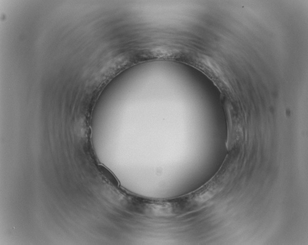 X0000089420317200706291039