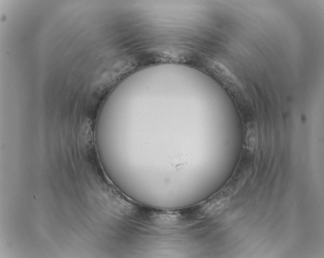 X0000089420318200706291039