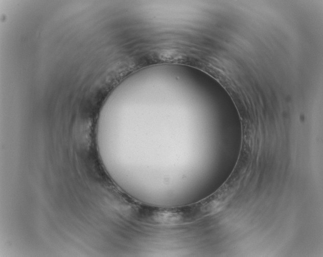 X0000089420319200706291039