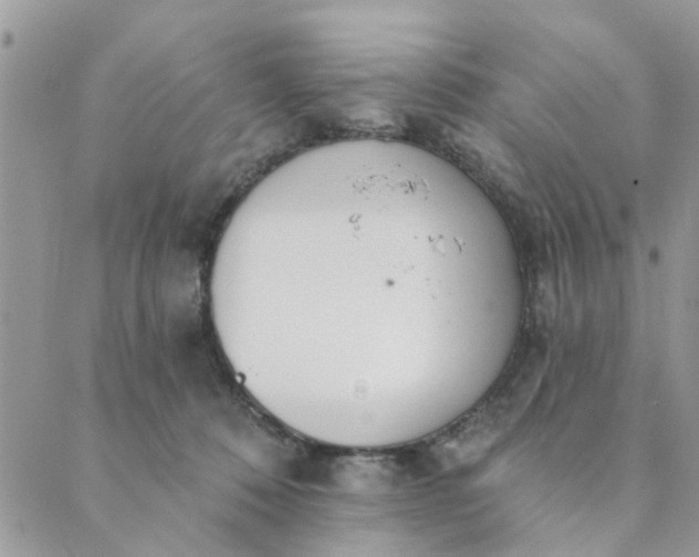 X0000089420320200706291039