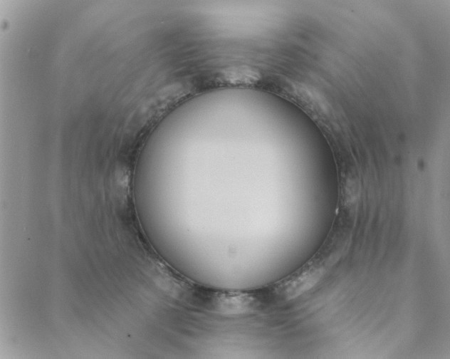 X0000089420321200706291039