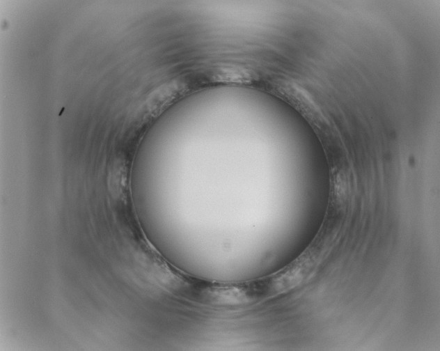 X0000089420322200706291039