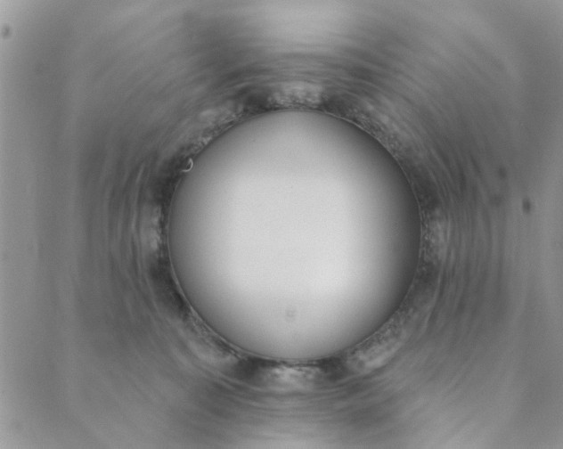 X0000089420323200706291039