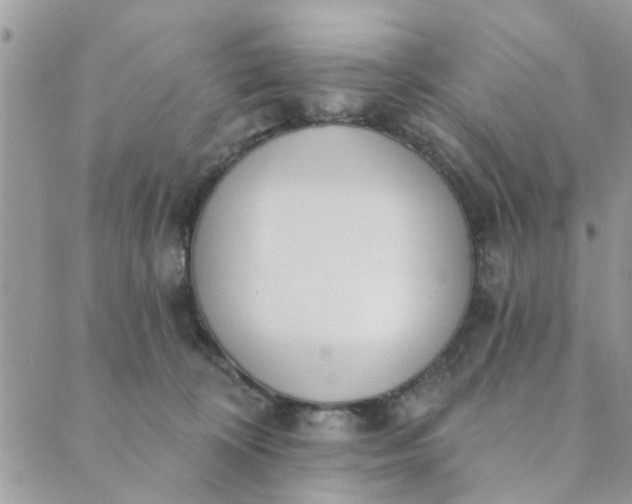 X0000089420324200706291039