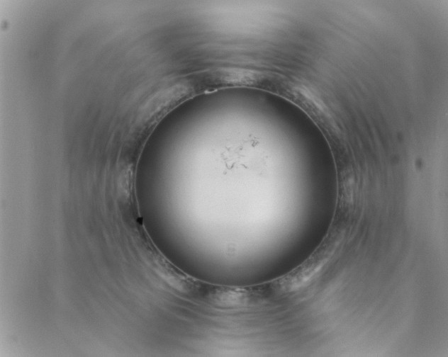 X0000089420325200706291039