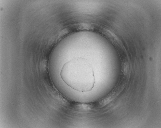 X0000089420326200706291039