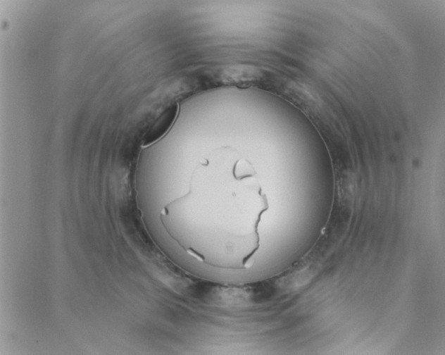 X0000089420327200706291039