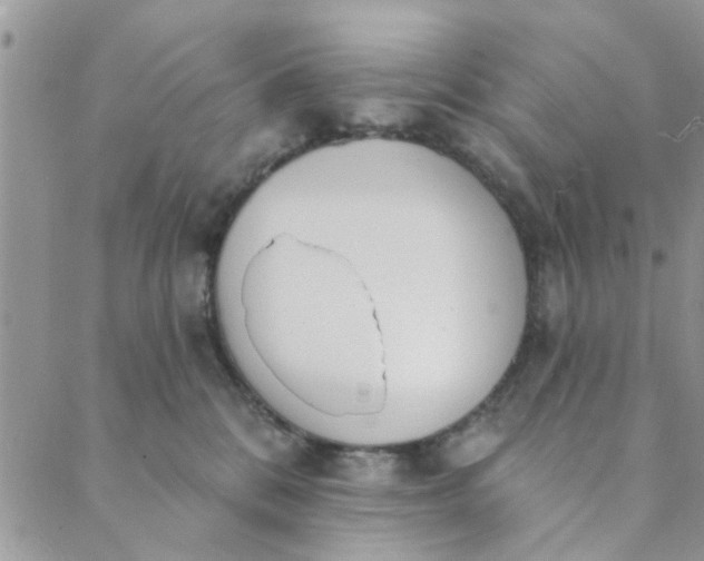 X0000089420328200706291039