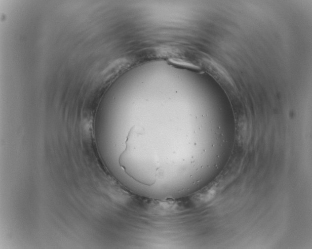 X0000089420329200706291039