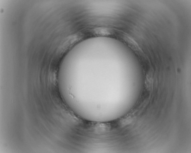 X0000089420330200706291039