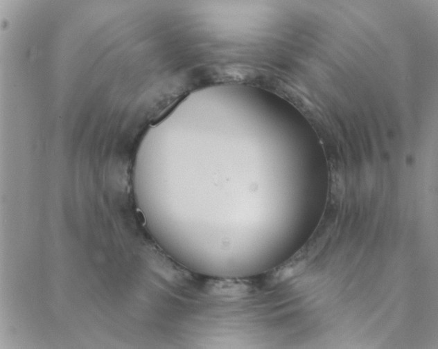 X0000089420331200706291039