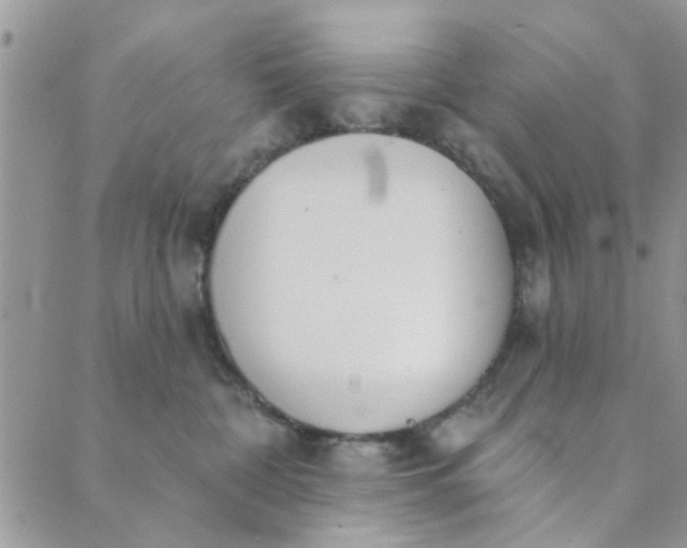 X0000089420332200706291039