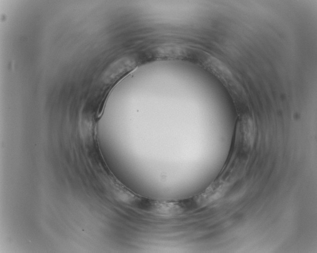 X0000089420333200706291039