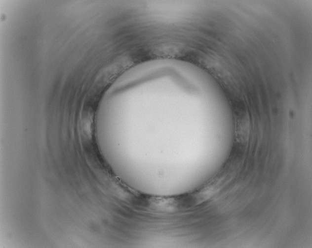 X0000089420334200706291039