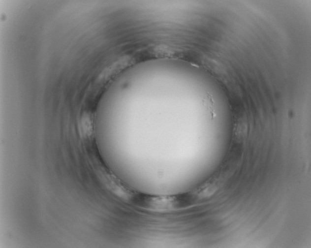 X0000089420335200706291039