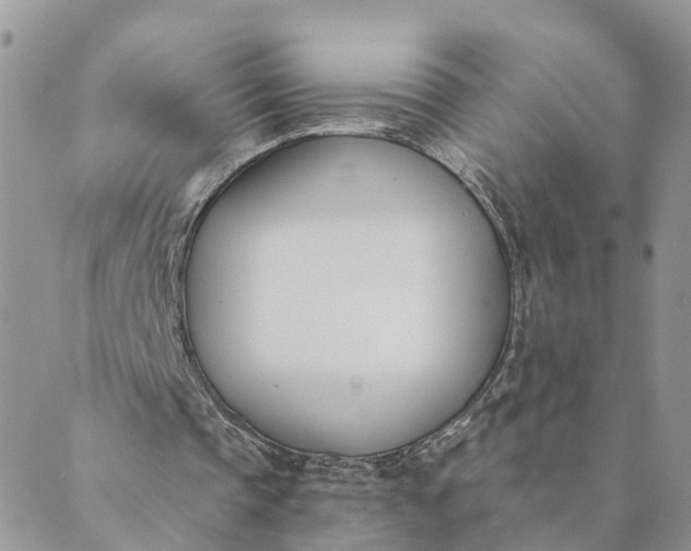 X0000089420337200706291038