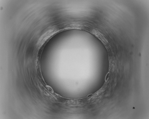 X0000089420338200706291038