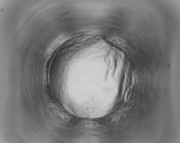 X0000089420339200706291038