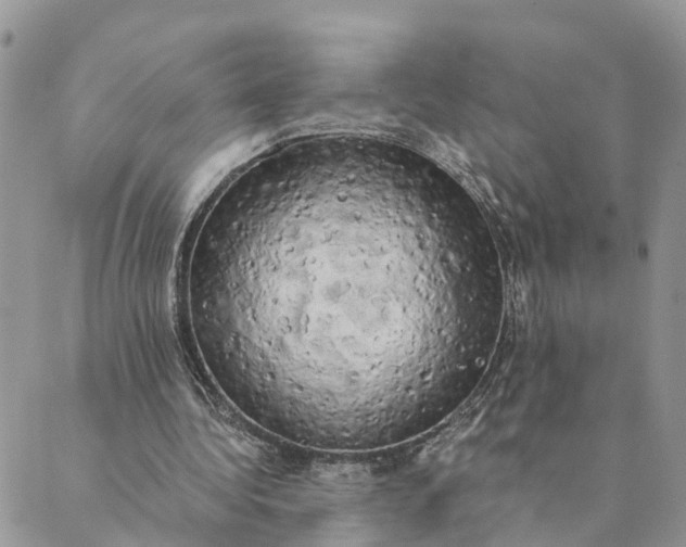 X0000089420340200706291038