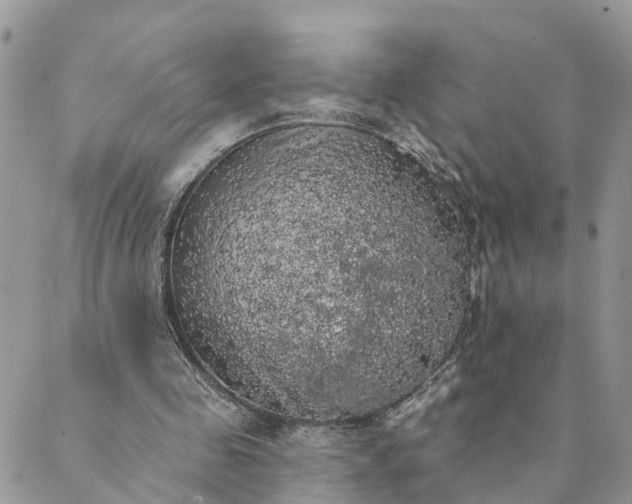 X0000089420341200706291038