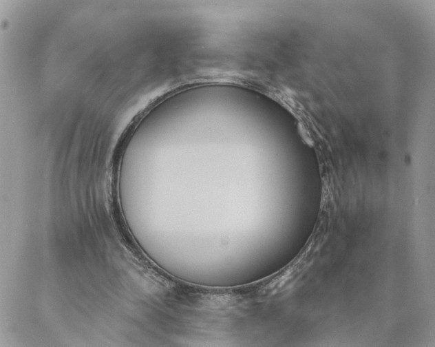 X0000089420342200706291038