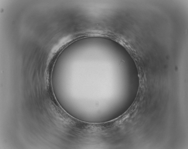 X0000089420343200706291038