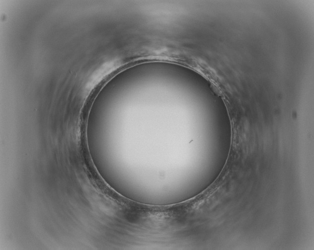 X0000089420344200706291038