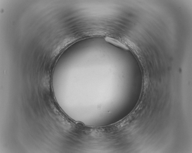 X0000089420345200706291038