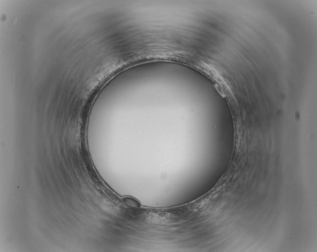 X0000089420346200706291038