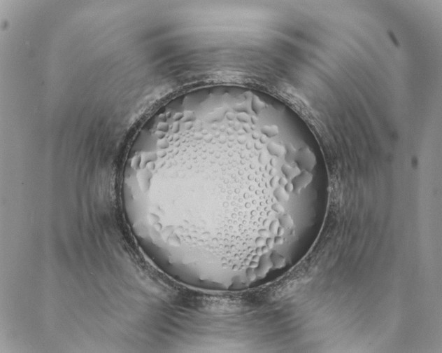 X0000089420347200706291038