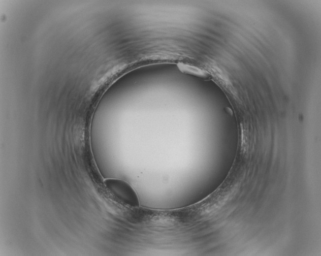 X0000089420348200706291038